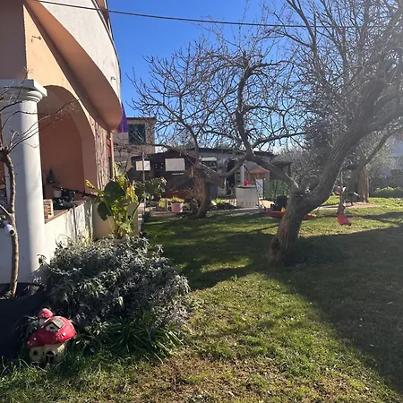 Tina פריבלאקה